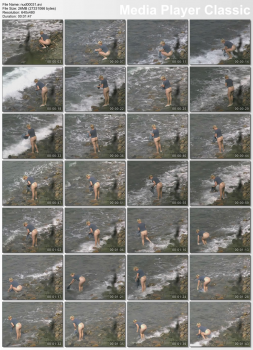06888978197510591177.jpg