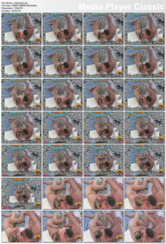 10339482787323467201.jpg