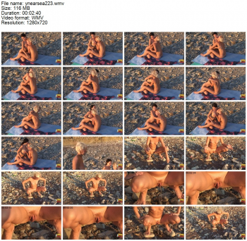 12355598771379403573.jpg
