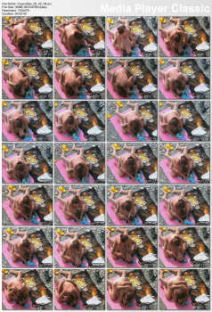 39210655118543397557.jpg