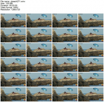 58772403375250568629.jpg