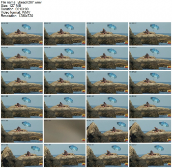 60047342411418862435.jpg
