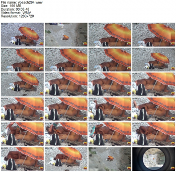 63848539679188667924.jpg