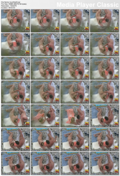 65790420586681282316.jpg