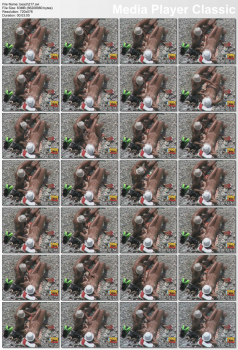 65926690866081866797.jpg