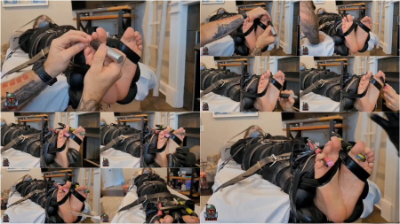 79939746451213616864.jpg