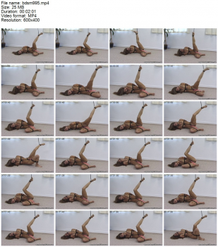 81545998477460407236.jpg