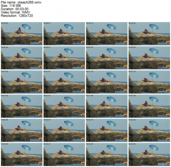 92545384880730766290.jpg